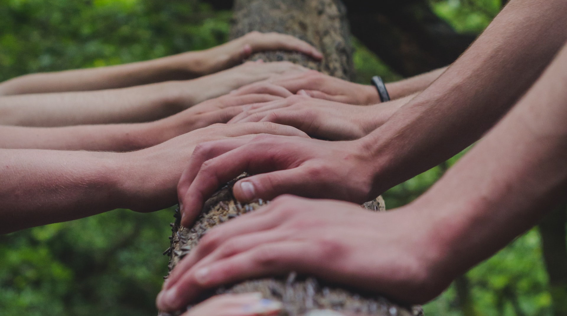 Ingen beskrivning tillgänglig