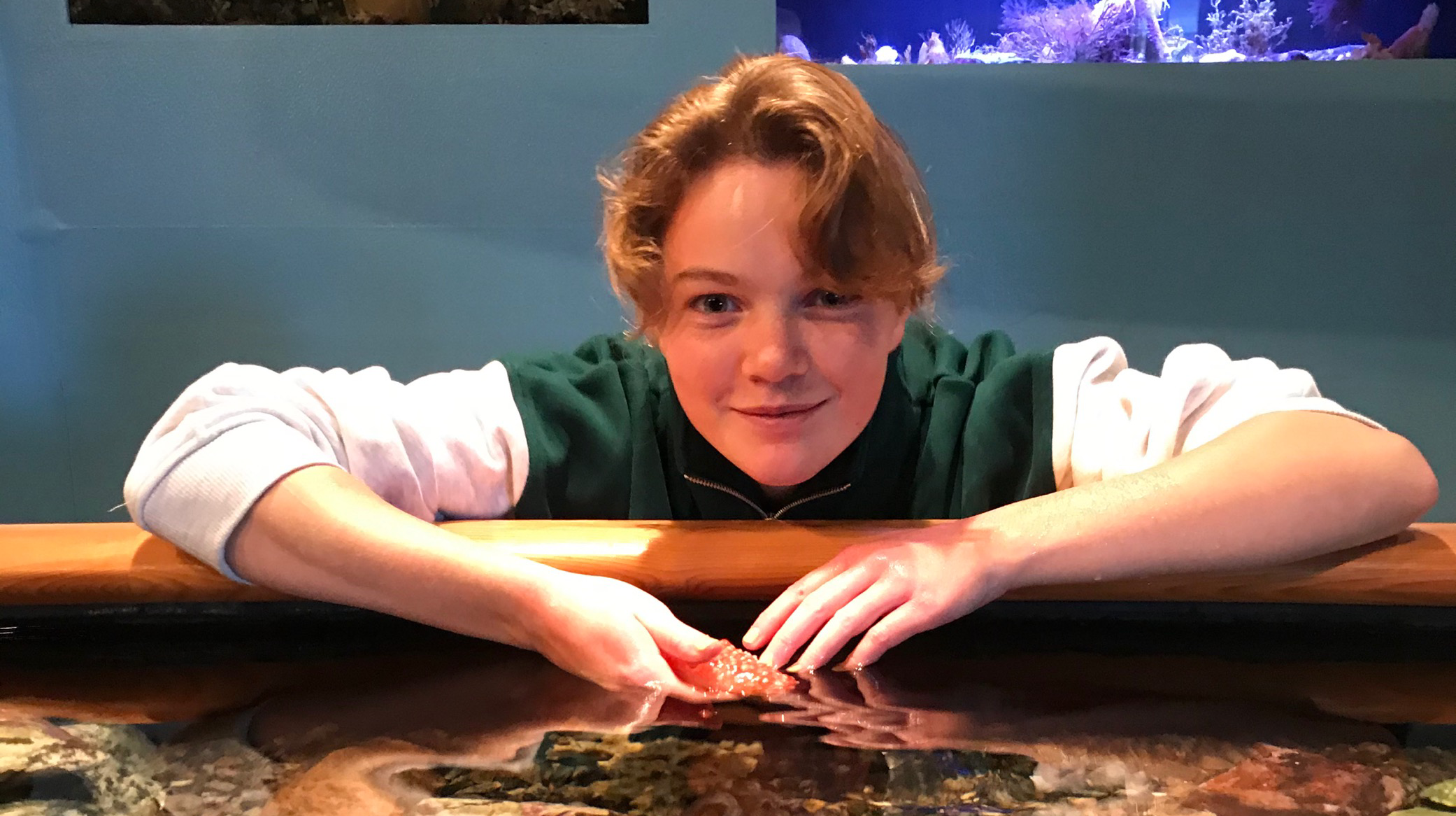 Ingen beskrivning tillgänglig