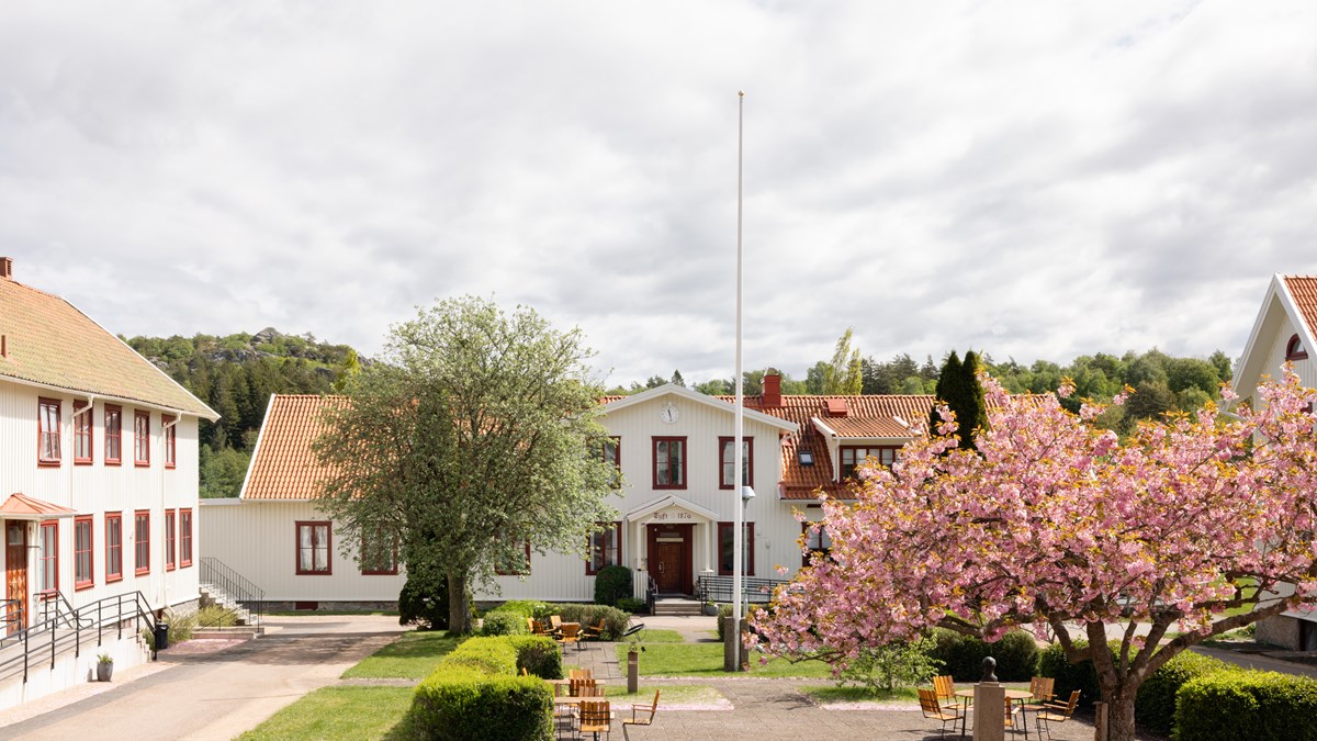 Billströmska folkhögskolan