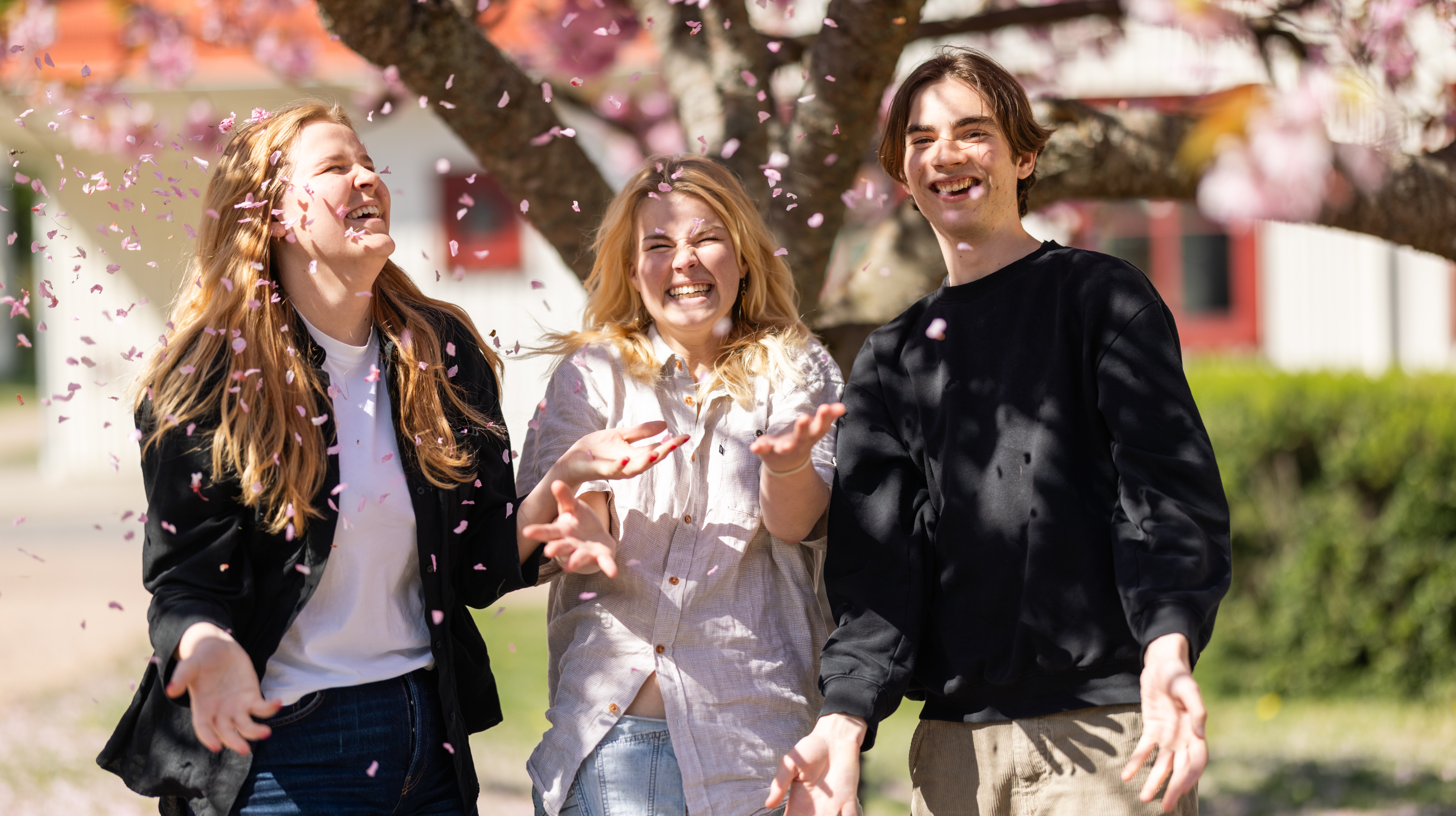 Ingen beskrivning tillgänglig