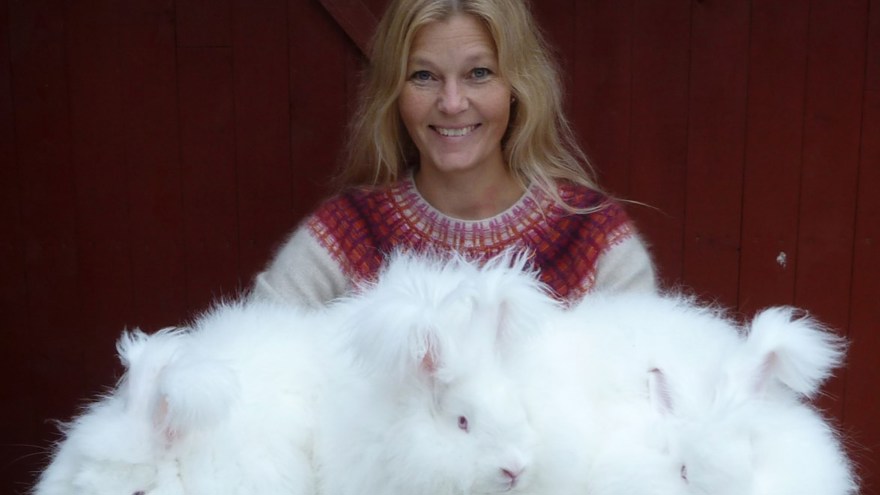 Pernille Silfverberg